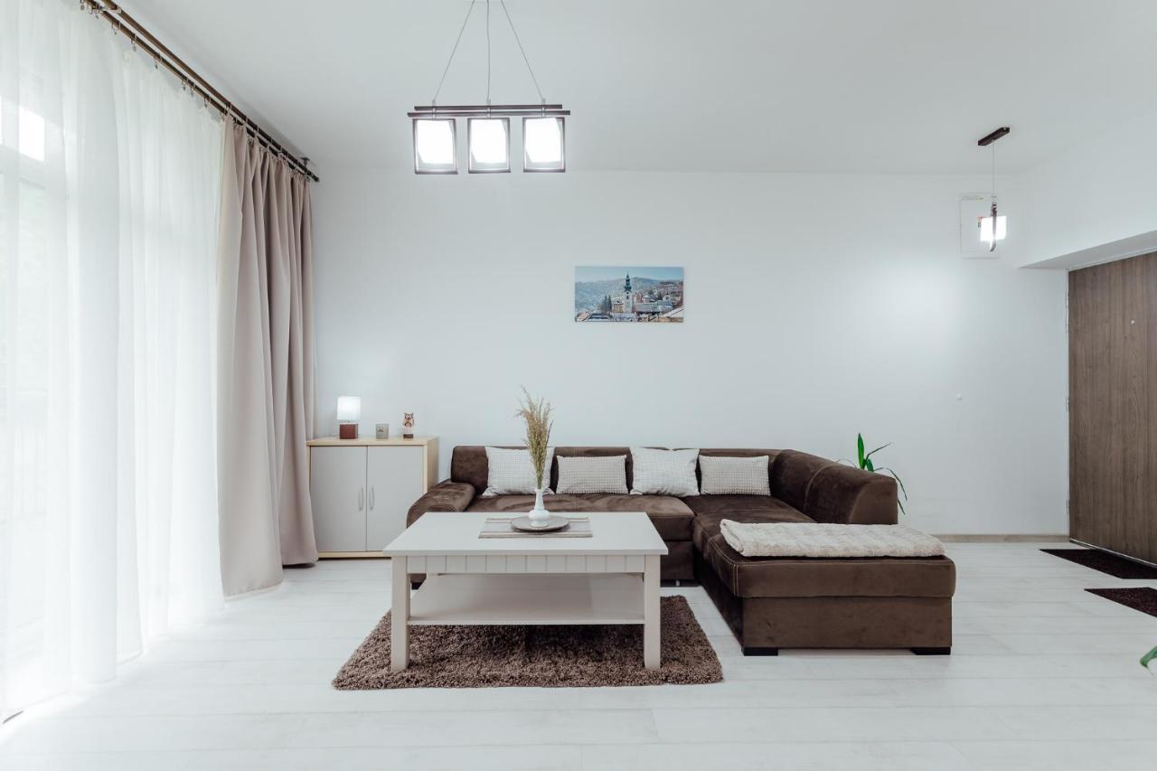 Apartman Vo Vile Kammergraf Банска-Штьявница Экстерьер фото