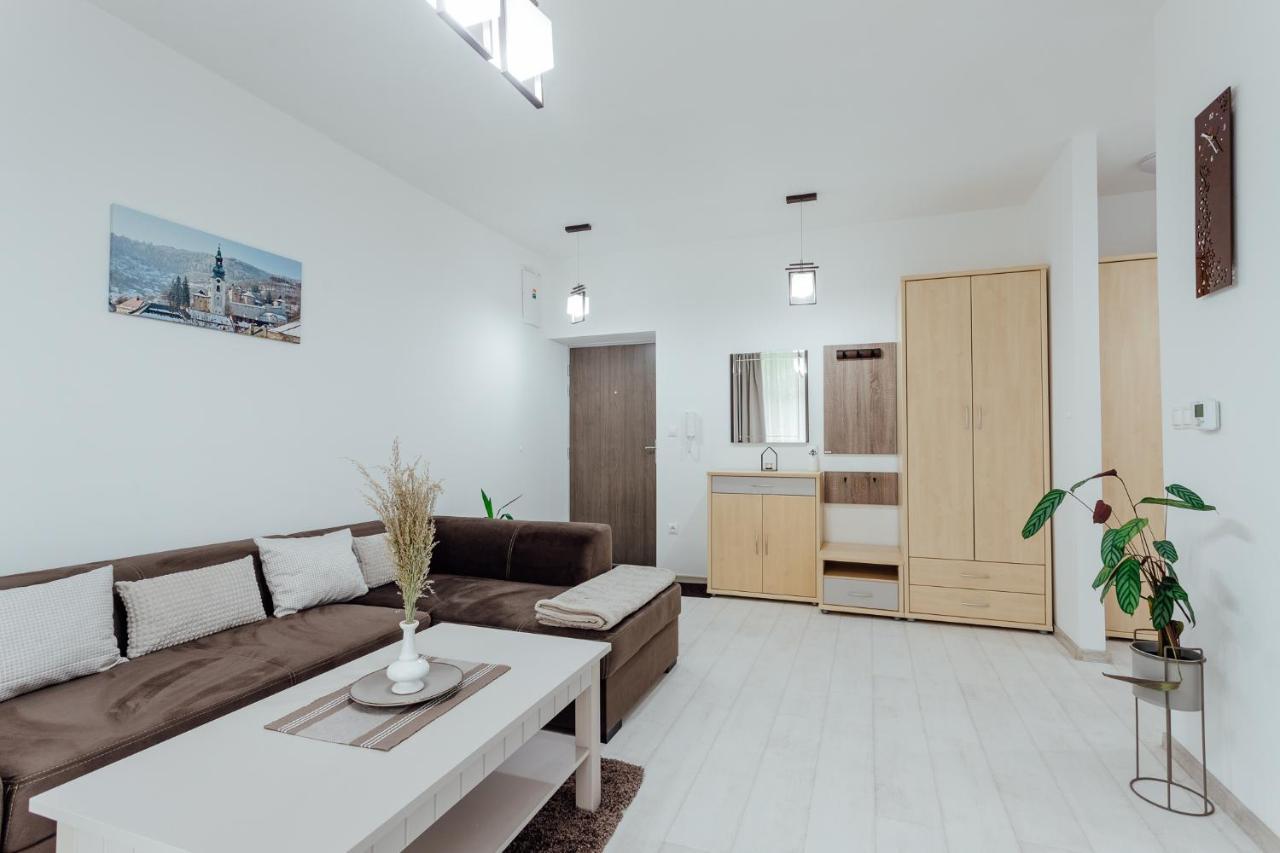 Apartman Vo Vile Kammergraf Банска-Штьявница Экстерьер фото